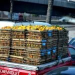 Streets of Alexandria