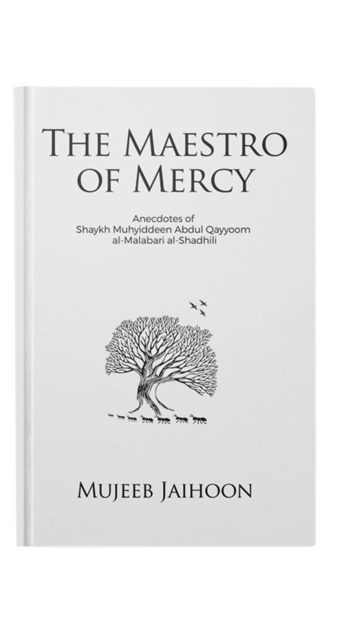 The Maestro Of Mercy